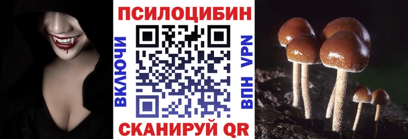 что такое Белокуриха Галлюциногенные грибы Psilocybine cubensis